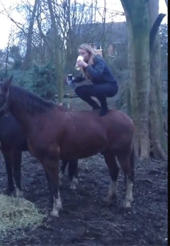 of-horse-this-would-happen