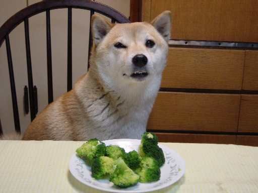 lphHjGz.jpg