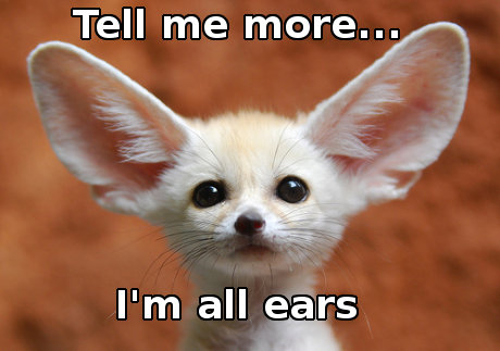 all_ears.jpg