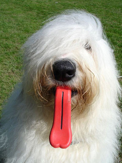 d614_humunga_tongue_sm.jpg