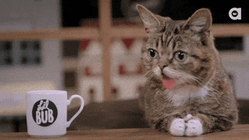200.gif