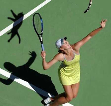 tennis-cat.jpg