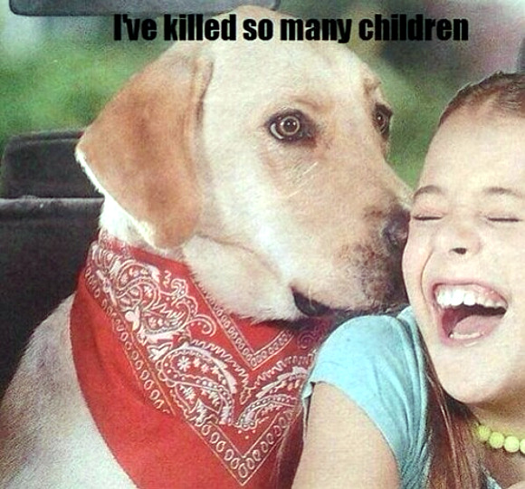 whisper-dog-kid-killer.jpg
