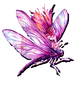 stickers_76d79215b3a1d132ee02fae60ef8731b.gif