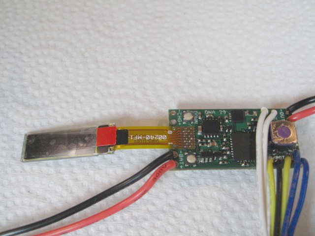 dna20d3.jpg