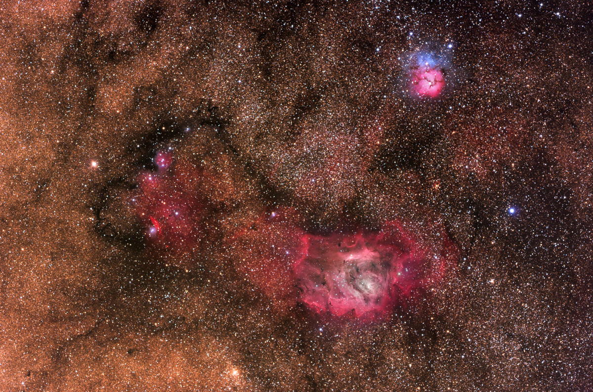 LagoonTrifid_mazlinmisti_f.jpg