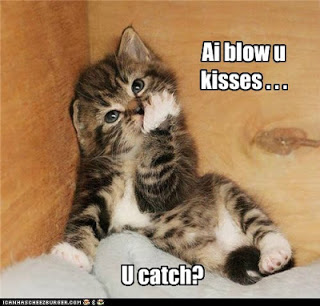 silly-cat-memes-6.jpg