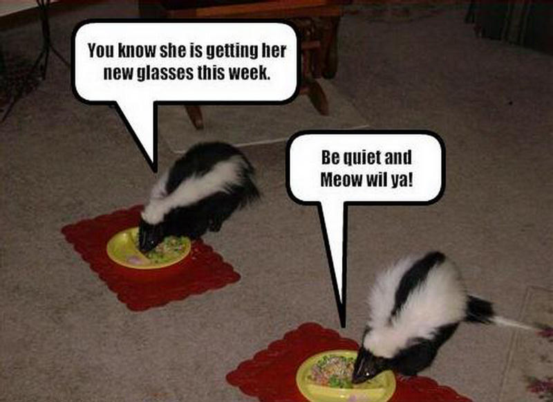 LOL0006.jpg