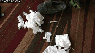 who-made-this-mess