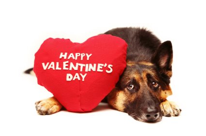 valentinesday.jpg