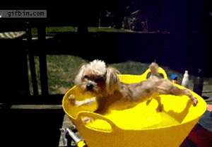 no-bath-time