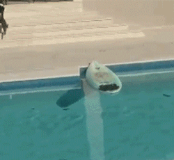 GrGp.gif