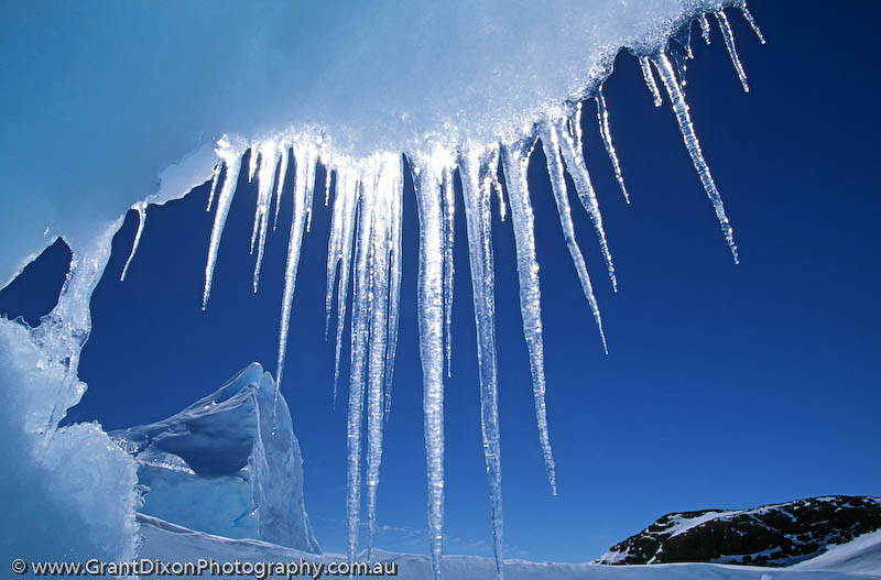 AAT_Icicles1.jpg