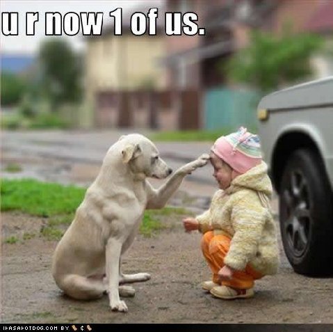 Funny-Animal-Pictures.jpg