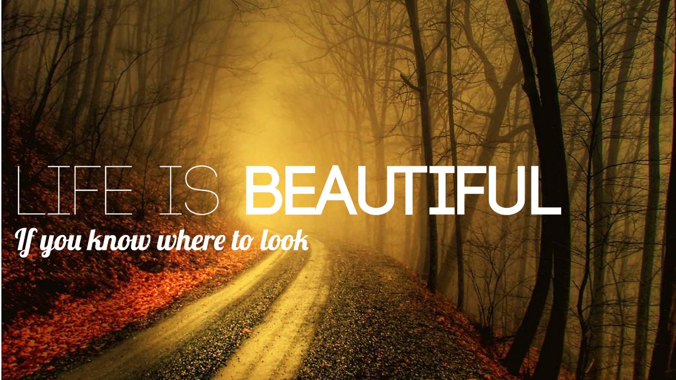quotes-about-life-on-life-life-quotes-410.jpg