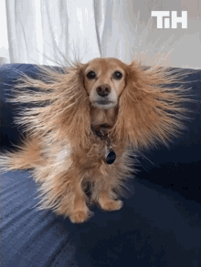 static-hair-this-is-happening.gif