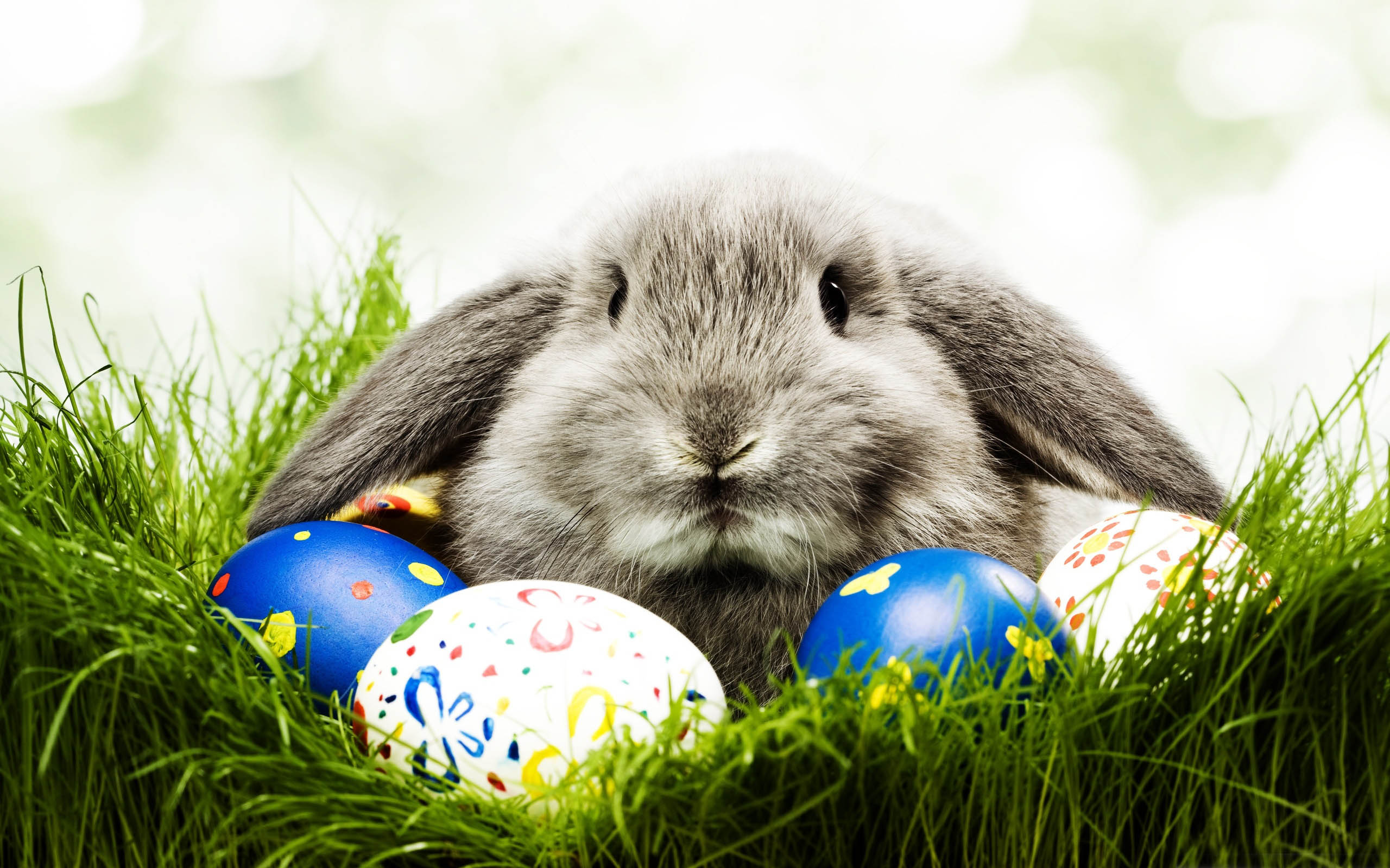 Easter-Bunny-7.jpg