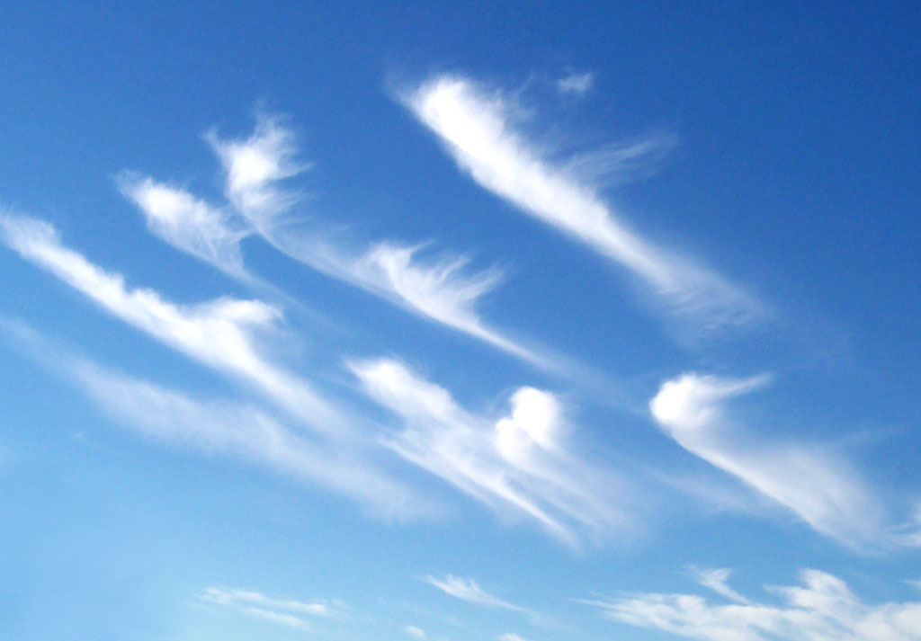 Cirrus_clouds2.jpg