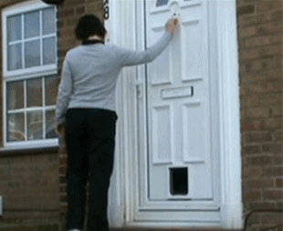 goggie-gif-doorbell-dash