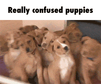 ea306ccb83331f28a16502f7e066a89d.gif