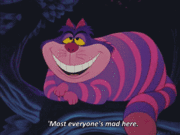 852674080-thumb_Were_all_mad_here.gif