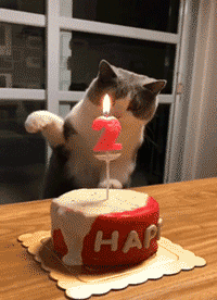 tort-10.gif