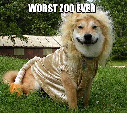 worst-zoo-ever.jpg