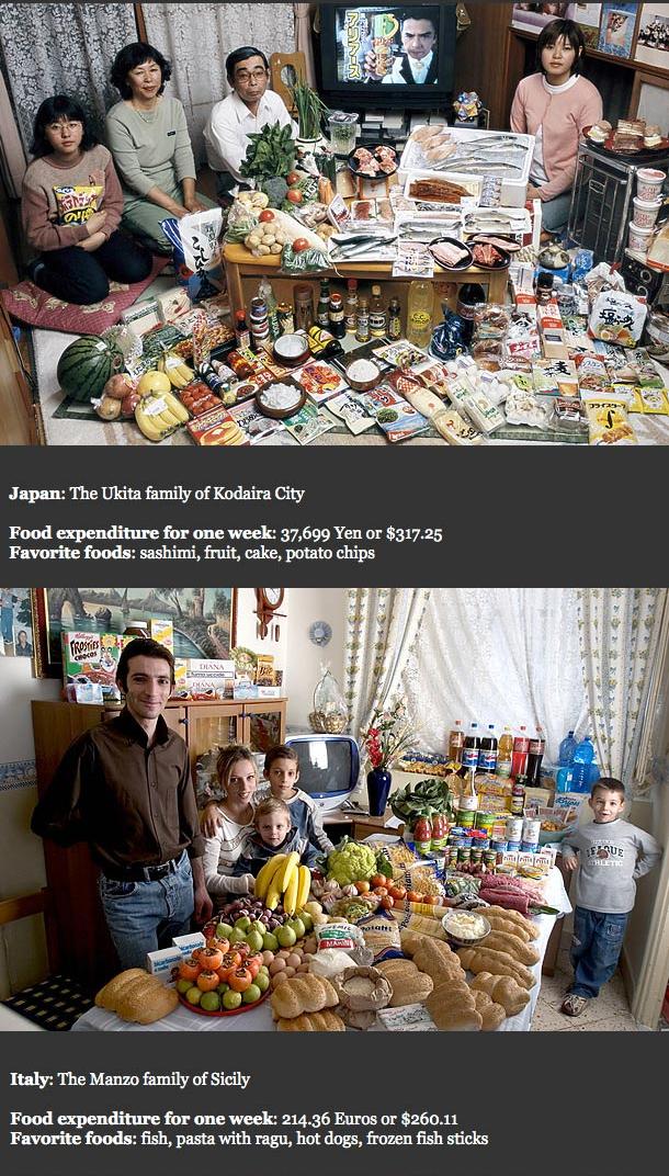 foodfamilies2.JPG