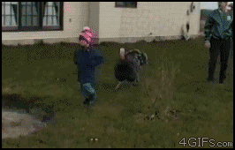 JHclK6f.gif
