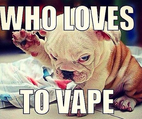 14514cc735a7056fa44e778bf1bb827b--vaping-meme.jpg