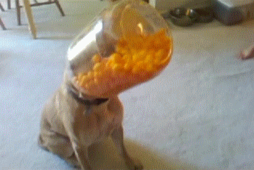 cheese-balls-results-in-sneezes