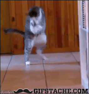 m1dtMRJ.gif