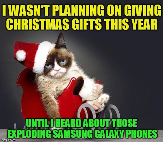 7a9814bffec48bc9f12d46e8e72347ca.jpg