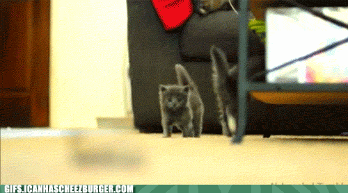 just-a-brief-derp
