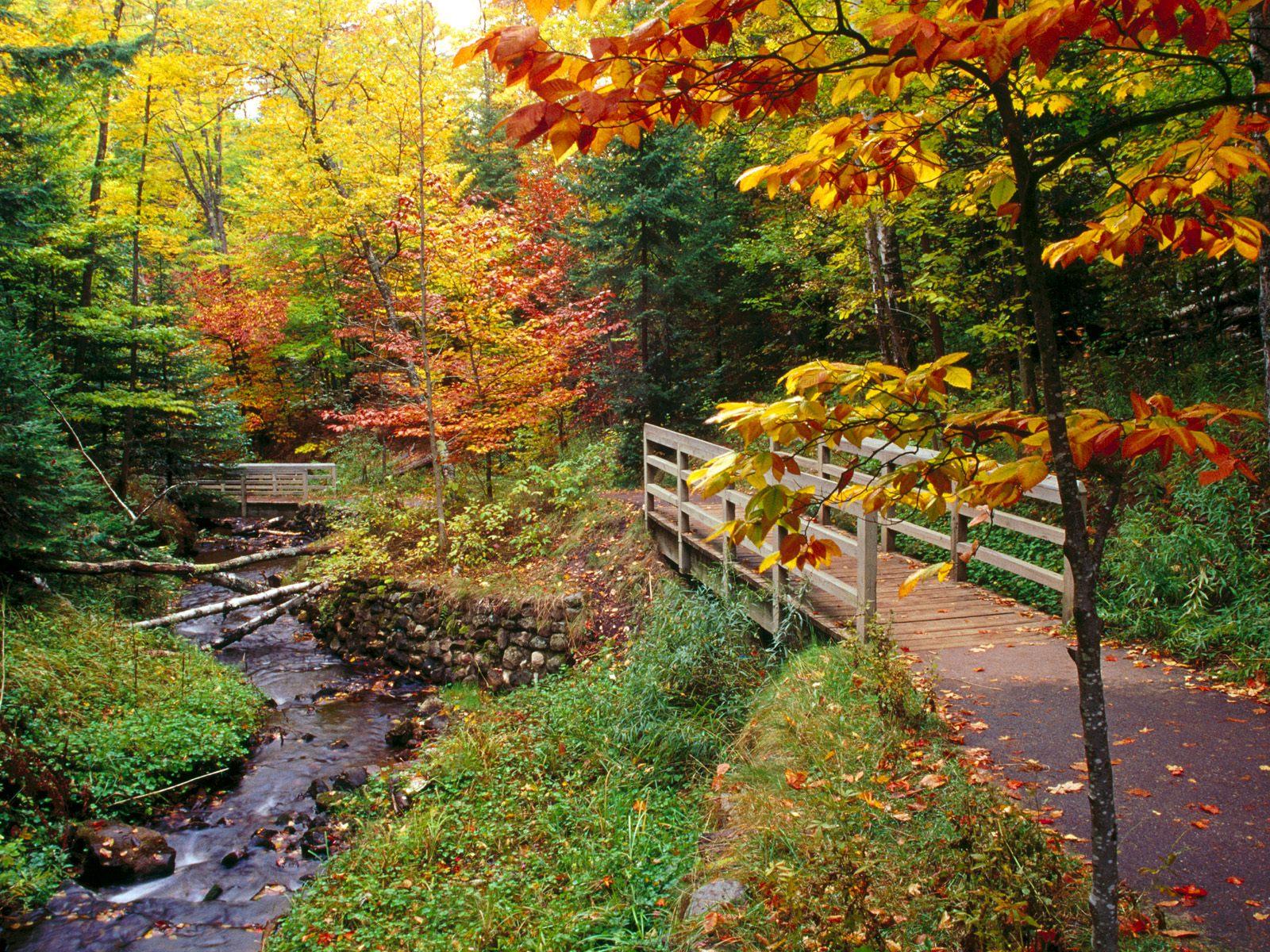 fall-colors.jpg