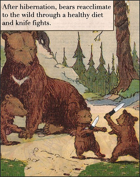 toon_bear-knife-fight.jpg