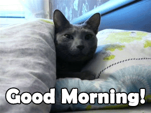 8b9b9579032eb2b17391ecb73eb3dfdb.gif