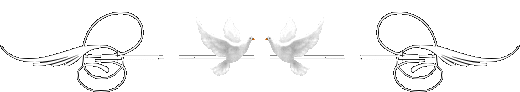 paz643.gif