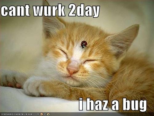 sick-cat.jpg