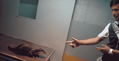 dDkfyjf.gif