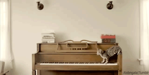 not-the-most-effective-sneaking