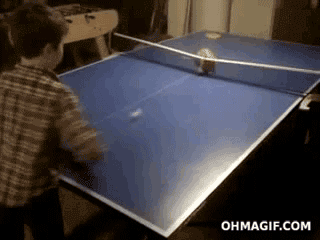 ani_cat-pingpong.gif