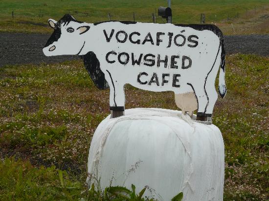 sign-is-standing-on-ubiquitous.jpg