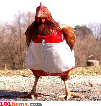 funny-picture-3164663269.jpg