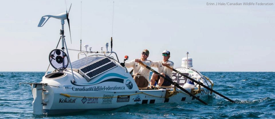 rowers.jpg