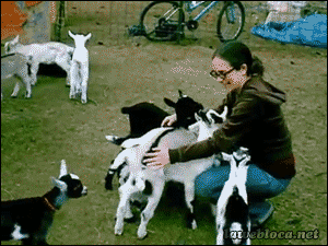 the-goat-kids-hunger-for-humans