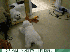 play-with-me