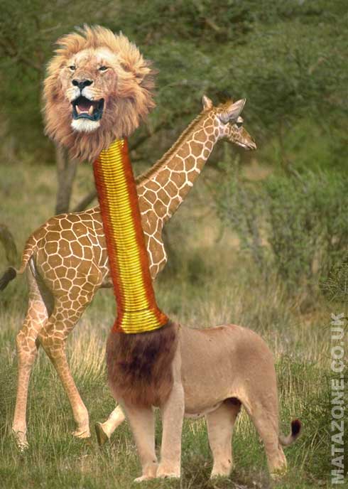 lion-neck-rings.jpg