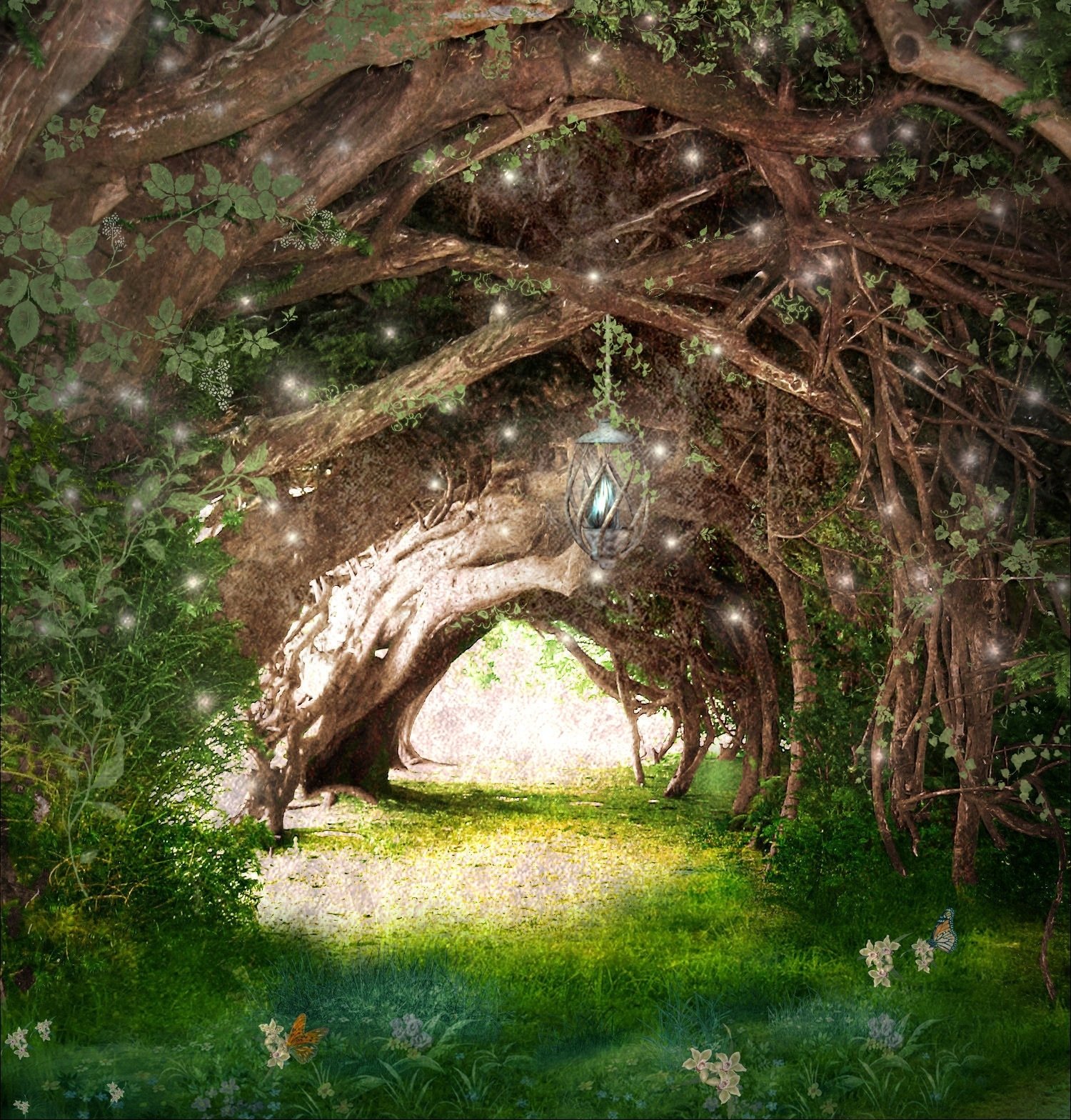 Faeries_Path.jpg