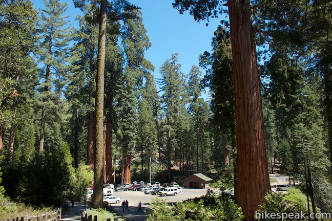 Grant_Tree-Trail-Kings-Canyon_IMG_9652.jpg